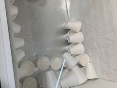 -洪馨椰子