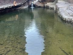 -龙潭大峡谷