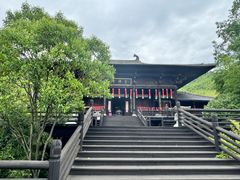 -大唐贡茶院