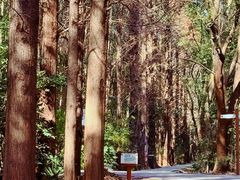 -同里国家湿地公园