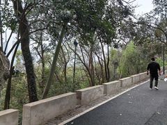 -龟山风景区-龟山电视塔