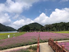 -广州市石门国家森林公园