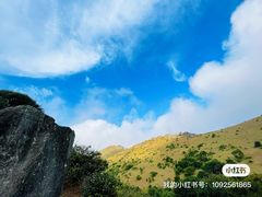 -大姆山草场