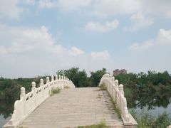 -大港湿地公园