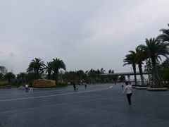 -宝安西湾红树林湿地公园