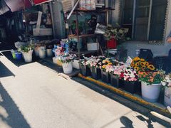 -循礼门鲜花花市(武汉循礼门店)