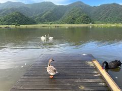 -大九湖