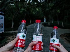 -惠山国家森林公园