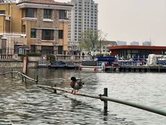 -WhaleSports户外水上运动俱乐部(朝阳公园店)