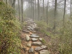 -神农架景区