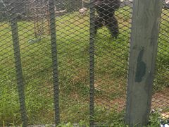 -无锡动物园·太湖欢乐园