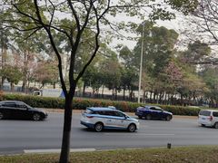-荔香公园