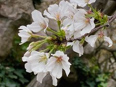 -东湖磨山景区