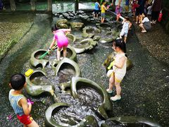 -成都市活水公园