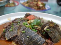 甲鱼炖乳鸽-龙小海荆沙鸽子店(瑞安街店)