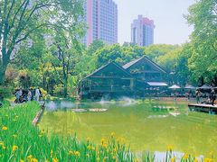 -静安公园(静安寺街道)