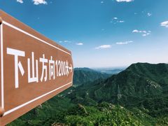 -大岭沟猕猴桃谷风景区