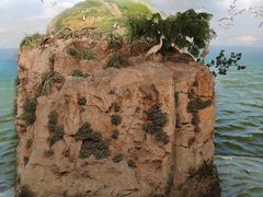-浙江自然博物院(杭州馆)