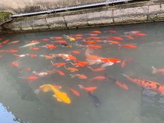 -前童古镇