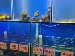 水产区-华峰食馆(氹仔店)