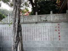-仙岳公园