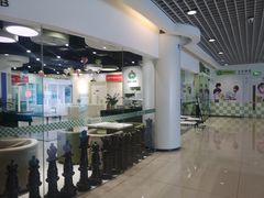 -常青藤国际象棋(新奥店)