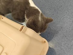 -瑞鹏宠物医院·爱宠堂(环西分院)