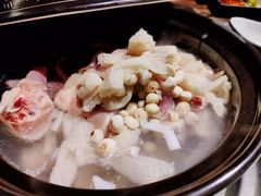 竹荪马蹄椰子鸡-同仁四季椰子鸡(海岸城天利店)