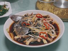 -煲来饱去冷水鱼