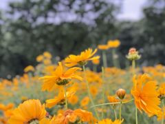 -汉长安城未央宫国家考古遗址公园