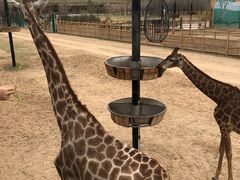 -鄂尔多斯野生动物园