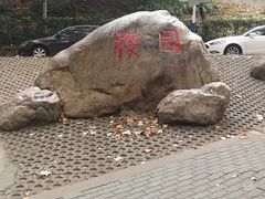 -武汉大学-樱园