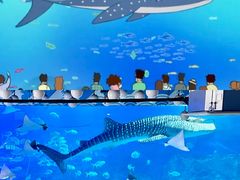 -烟台海昌鲸鲨海洋公园