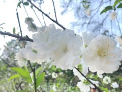 -南国桃园旅游度假区