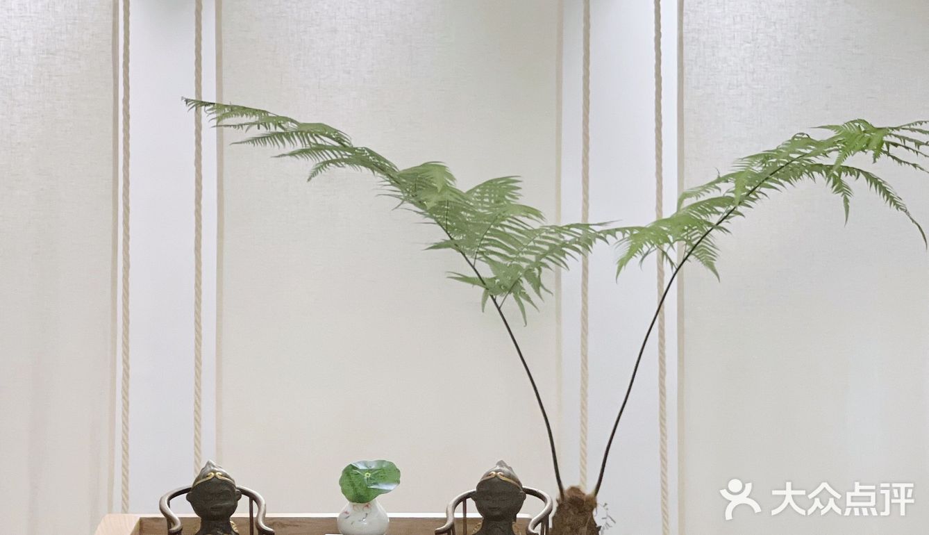被SPA拯救的都丽们