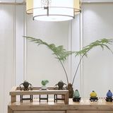 被SPA拯救的都丽们