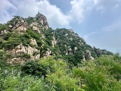 -大岭沟猕猴桃谷风景区