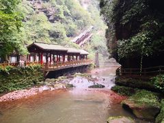 -碧峰峡风景区