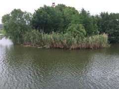 -新江湾城公园
