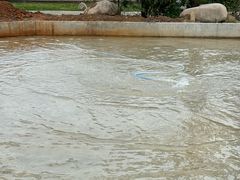 -永康小长城