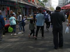 -哈尔滨道外花鸟鱼市场