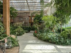 -南宫五洲植物乐园