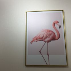 -尔素·半永久纹眉·野生眉