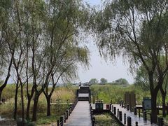 -苏州太湖湖滨国家湿地公园