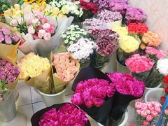 -双季花艺园艺市场(浦东店)