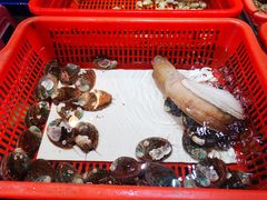 -巽寮印象美食部落餐厅·海鲜·地方特色菜(惠州体验店)