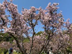 -玄武湖景区-情侣园游乐场