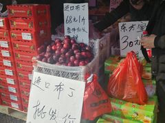 -红星农博物流中心