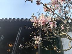 -广富林宰相府酒店·水云间