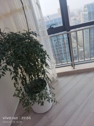 -HEYAN荷妍专业脱毛连锁机构
